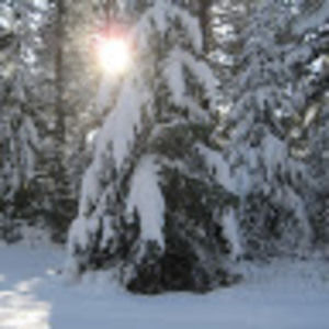 Meet your Posher, Nia